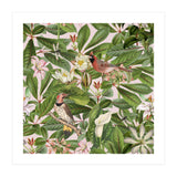 Tropical Bird Garden (Print Only) thumbnail