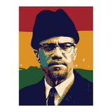 Malcolm X v2 (Print Only) thumbnail