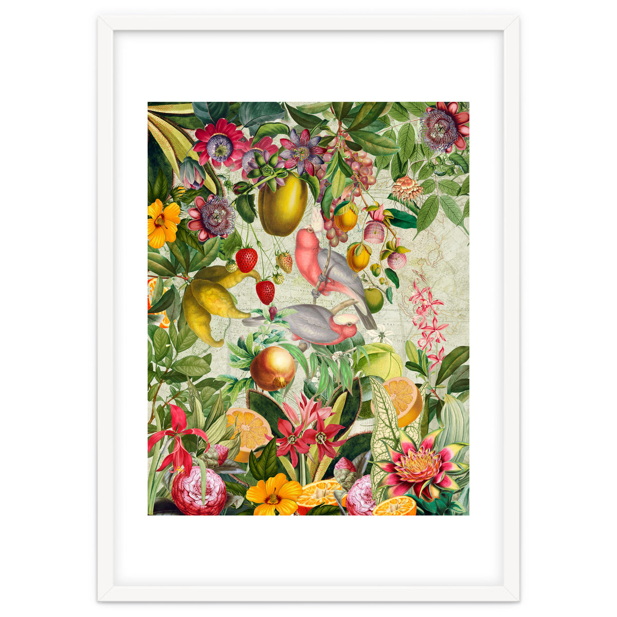 Pink Cockatoo vintage jungle