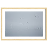 Flying seagulls in the winter sky thumbnail