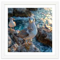 Seagull Standing On Rocks Near Water