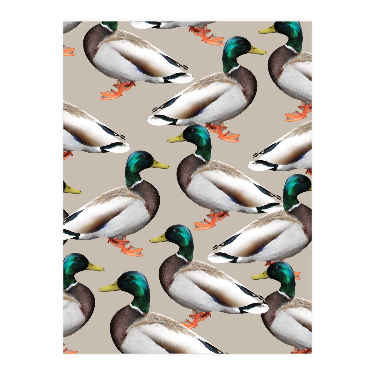 Mallards (Print Only)
