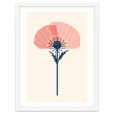 Pink Half Poppy thumbnail