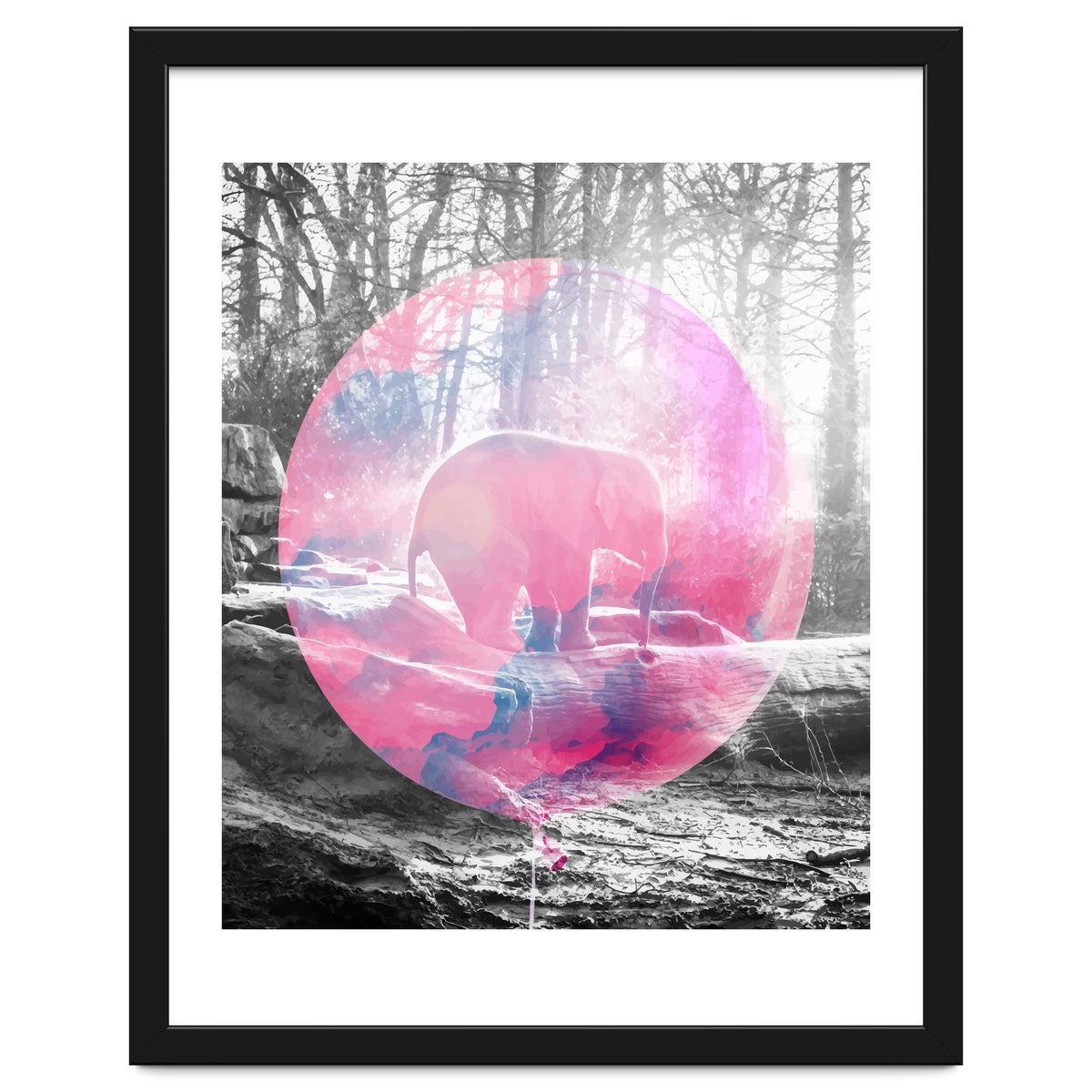 Baby Elephant In A Balloon