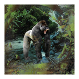 Gorilla  (Print Only) thumbnail