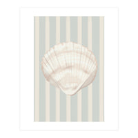 Sea shell (Print Only)