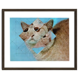 The Depressive Cat Am Abend Bekommt Den Blues thumbnail
