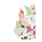 Cockatoo in Flower Jungle  (Print Only) thumbnail