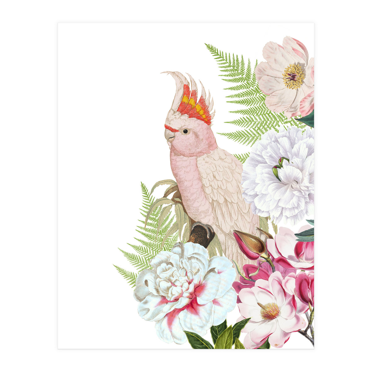Cockatoo in Flower Jungle  (Print Only)