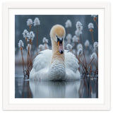 Swan Floating Serene On Calm Water thumbnail