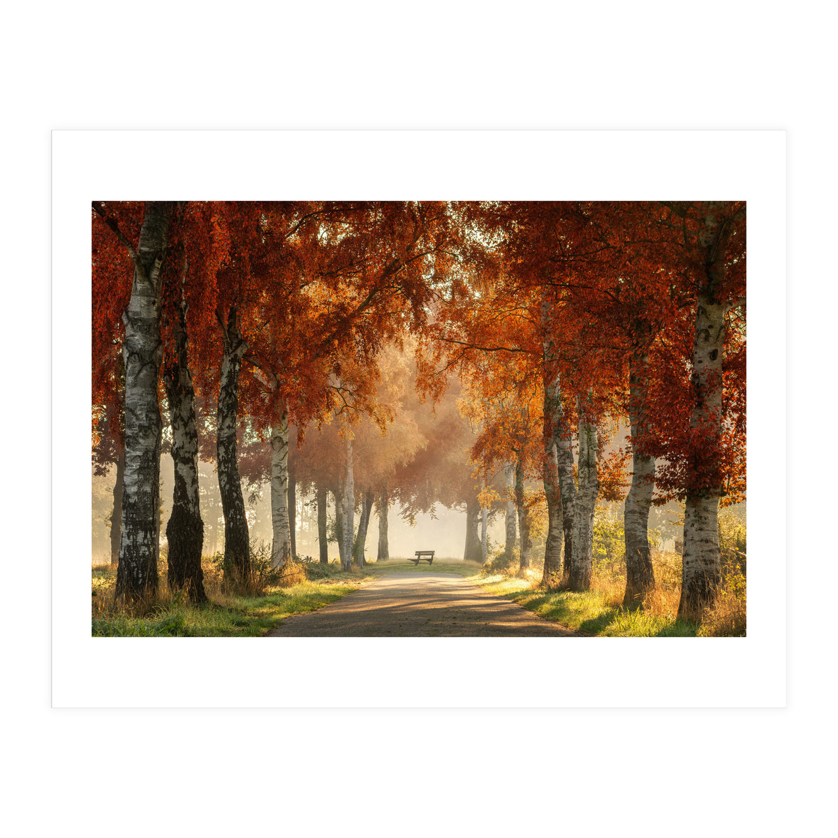 Red autumn (Print Only)