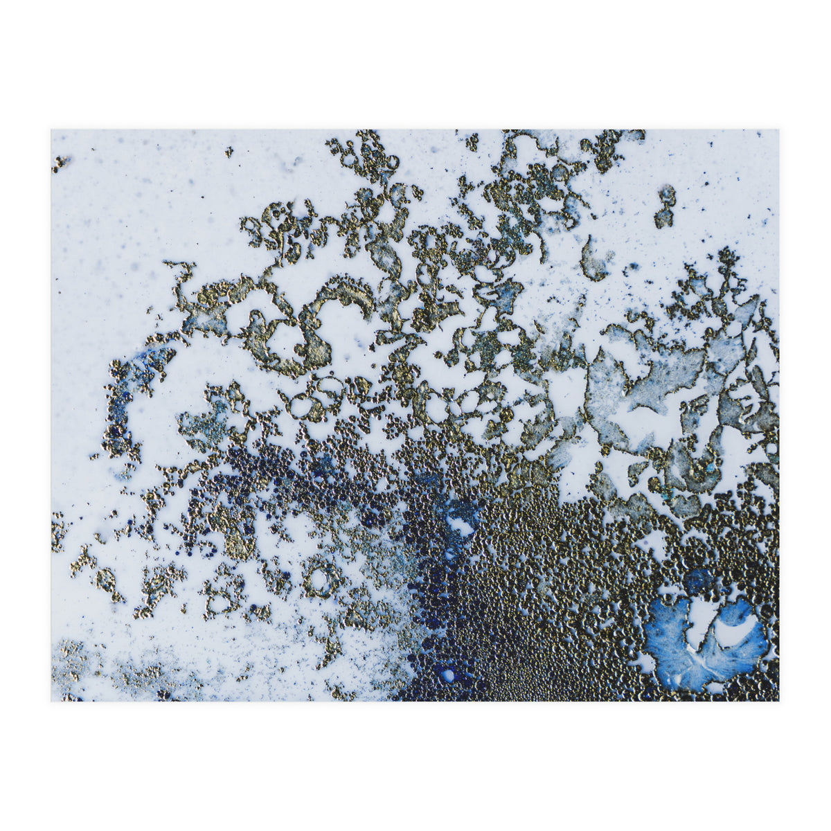 Coral Rising (Print Only)