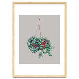 Hanging Plant thumbnail
