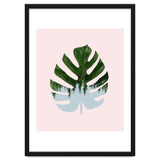 Monstera thumbnail