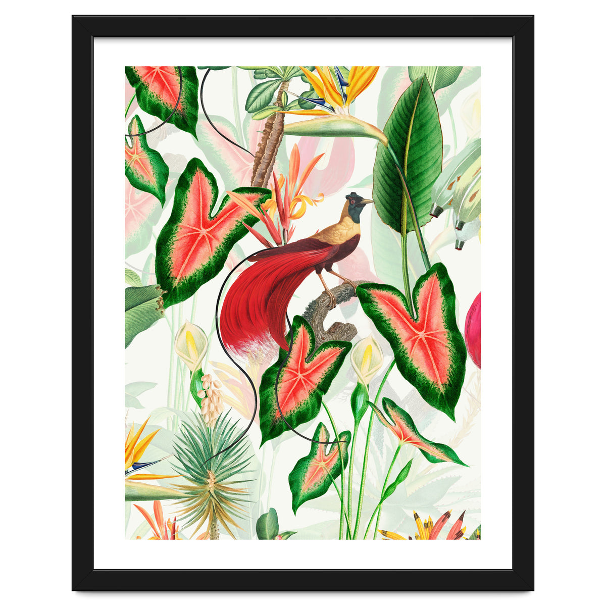 Vintage Bird Of Paradise in Jungle