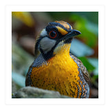 Close-up of a Yellow Bird featuring a Striking Red eye (Print Only) thumbnail