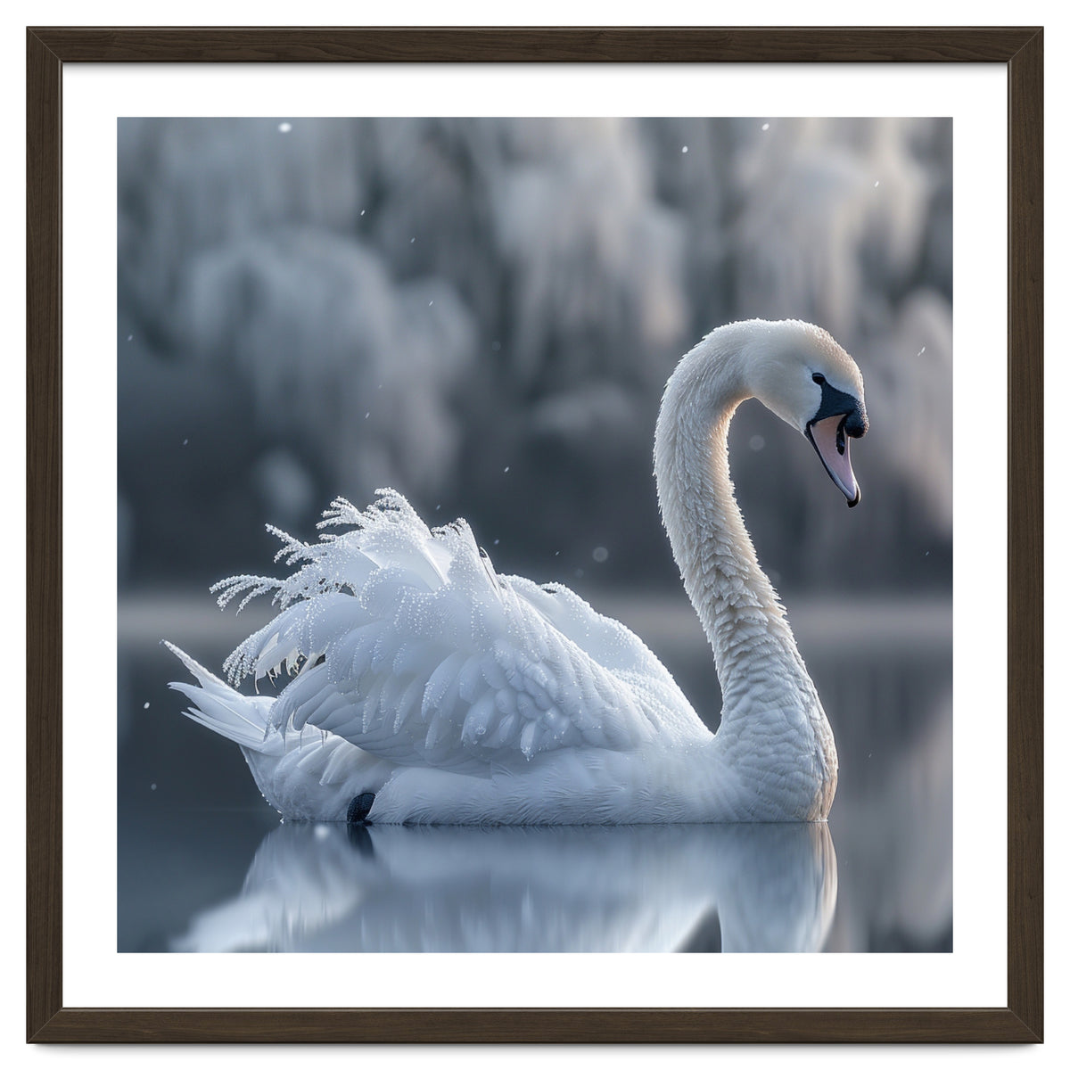Majestic White Swan Gracefully Floating On Water