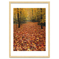 Ethereal Autumn Forest Path