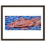 Little fish thumbnail