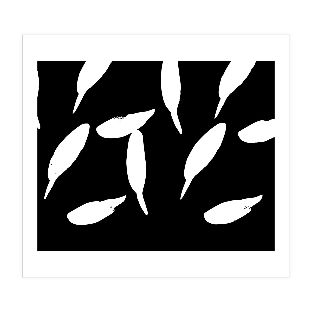 Free Fall (Print Only)