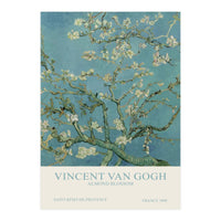 Vincent van Gogh - Almond blossom (Print Only)
