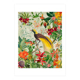 Bird of paradise vintage jungle  (Print Only) thumbnail