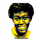 Gwendolyn Brooks American Poet Legend (Print Only) thumbnail
