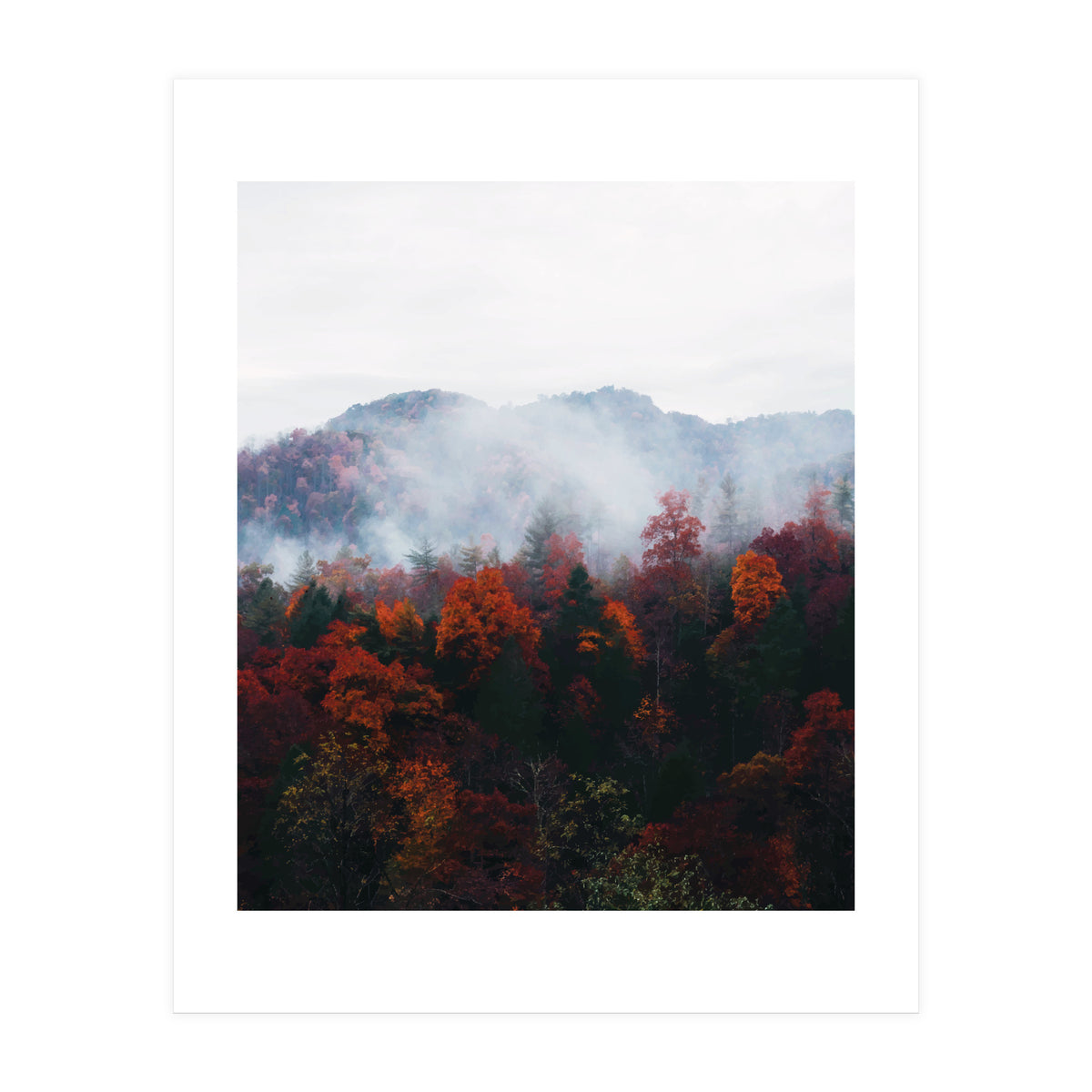 Fog (Print Only)