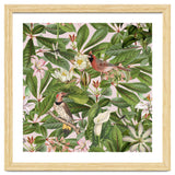 Tropical Bird Garden thumbnail