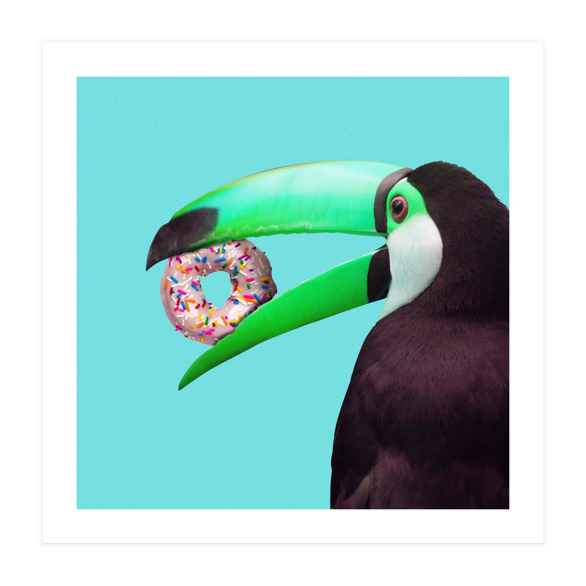 Sweet Toucan (Print Only)