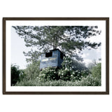 Blue hut on the tree thumbnail