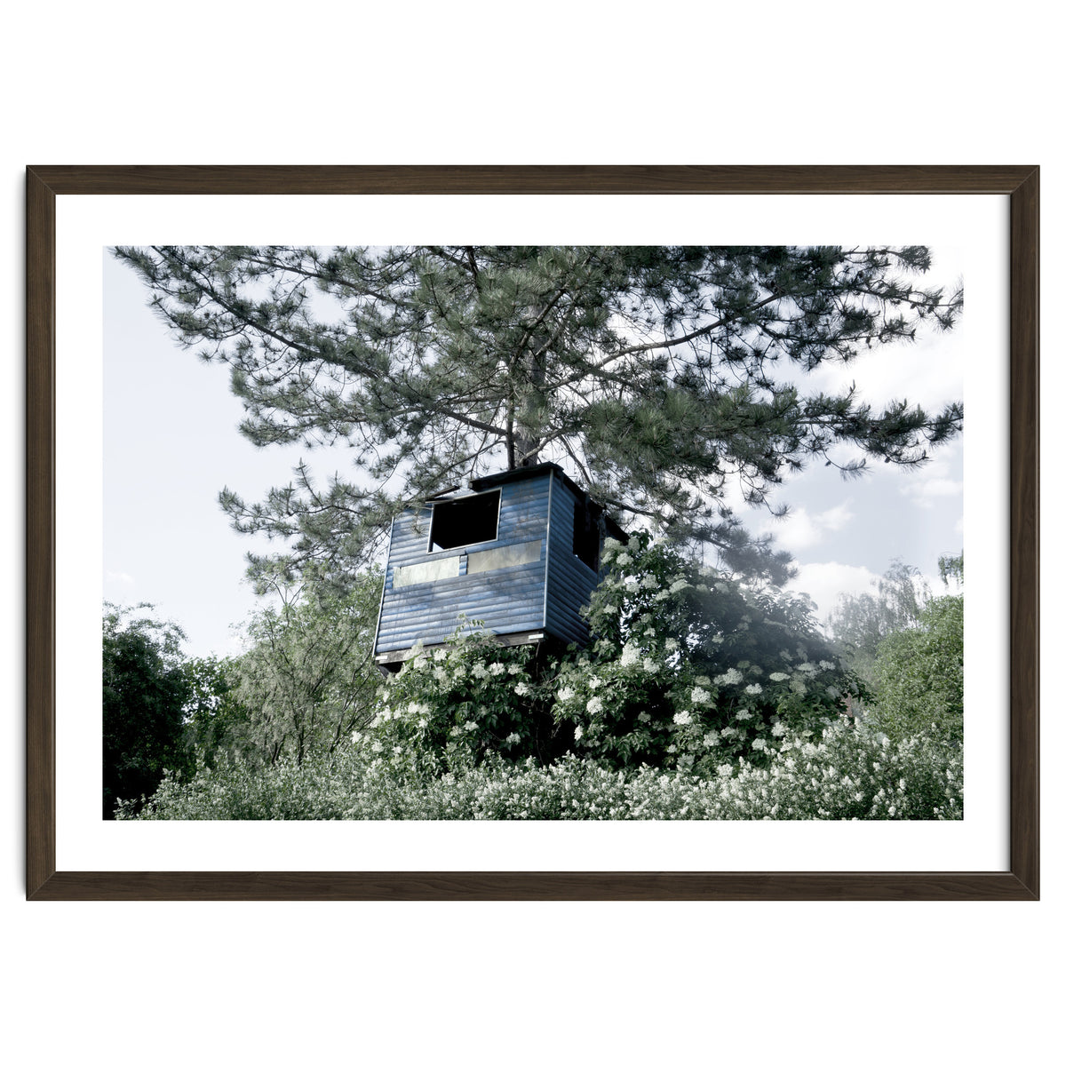 Blue hut on the tree