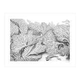 Hidden in plain sight (Print Only) thumbnail