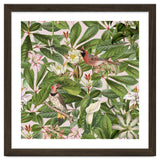 Tropical Bird Garden thumbnail