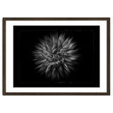 Backyard Flowers In Black And White No 20 Flow Version with Border thumbnail