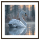 Graceful Swan Floating On Calm Water thumbnail