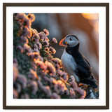 Puffin Bird On Rocks Near Pink Flowers At Sunset thumbnail