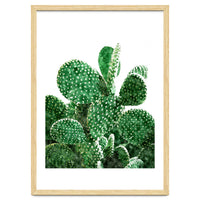 Velvet Cactus | Watercolor Botanical Plants | Minimal Boho Scandinavian Painting