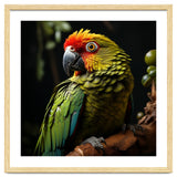 Vibrant Macaw Parrot thumbnail
