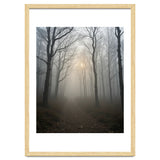 Ethereal Morning Light Breaking Through Dense Forest Fog thumbnail