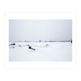 Drinking fountain covered with snow (Print Only) thumbnail