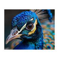 Close Up Of A Peacock Head And Eye (Print Only)