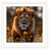 Majestic Lion Among Golden Flowers Close Up thumbnail