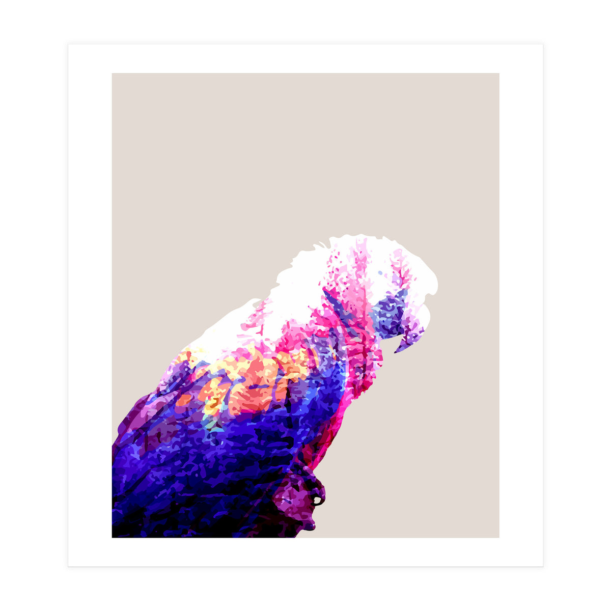 Macaw (Print Only)