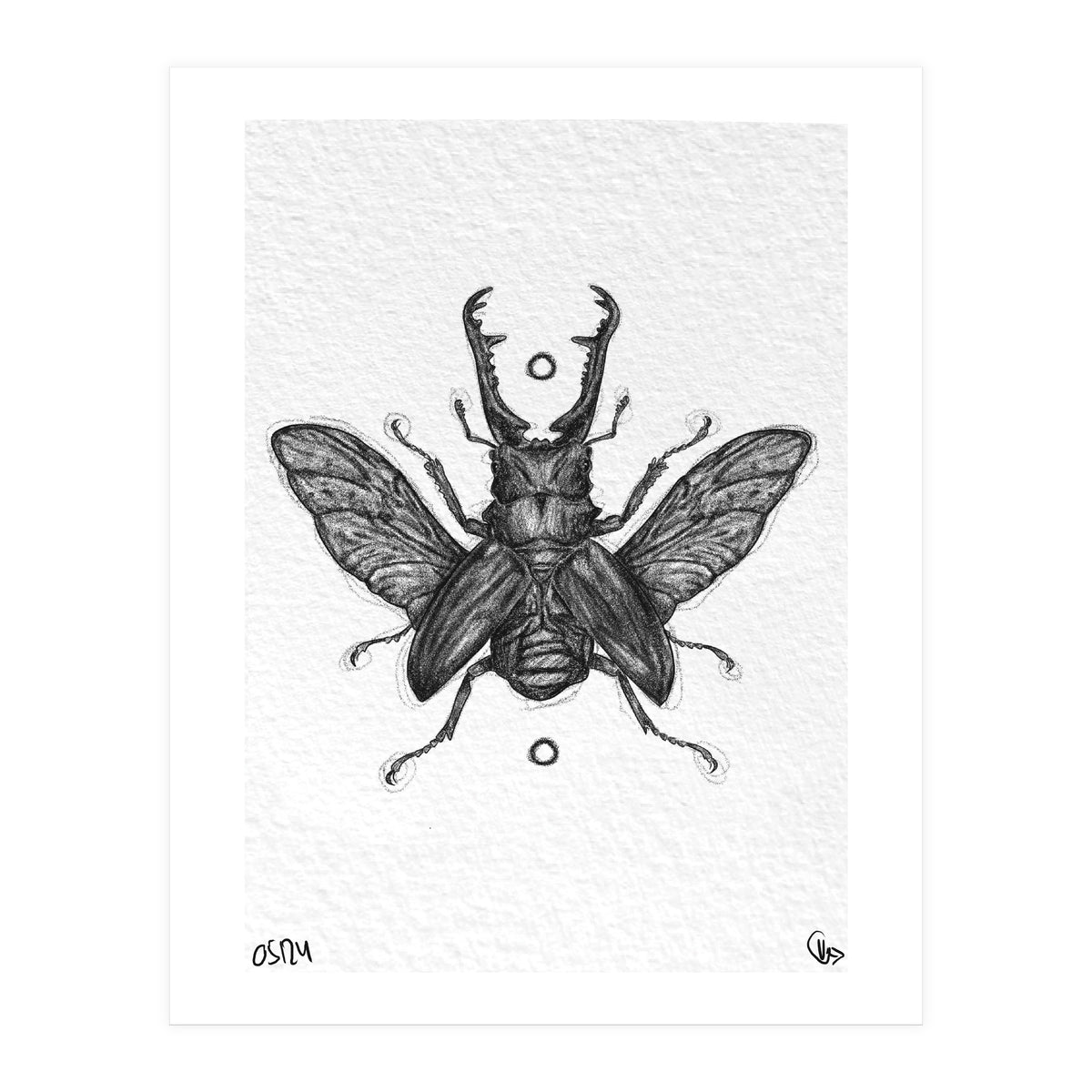 Giraffen Hirschkäfer (Print Only)