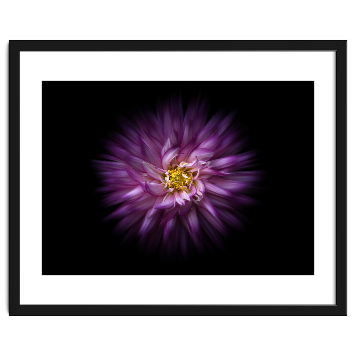 Backyard Flowers No 20 Color Flow Version