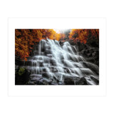 Into the woods (Print Only) thumbnail