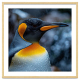 Close Up Of King Penguin In The Rain thumbnail