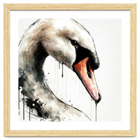 Watercolor Swan Portrait