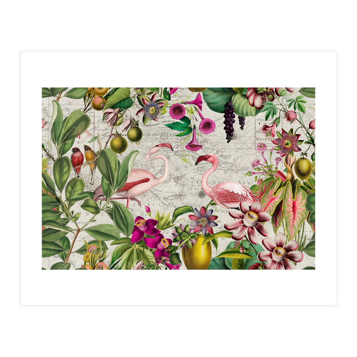 Flamingo Island 2 (Print Only)